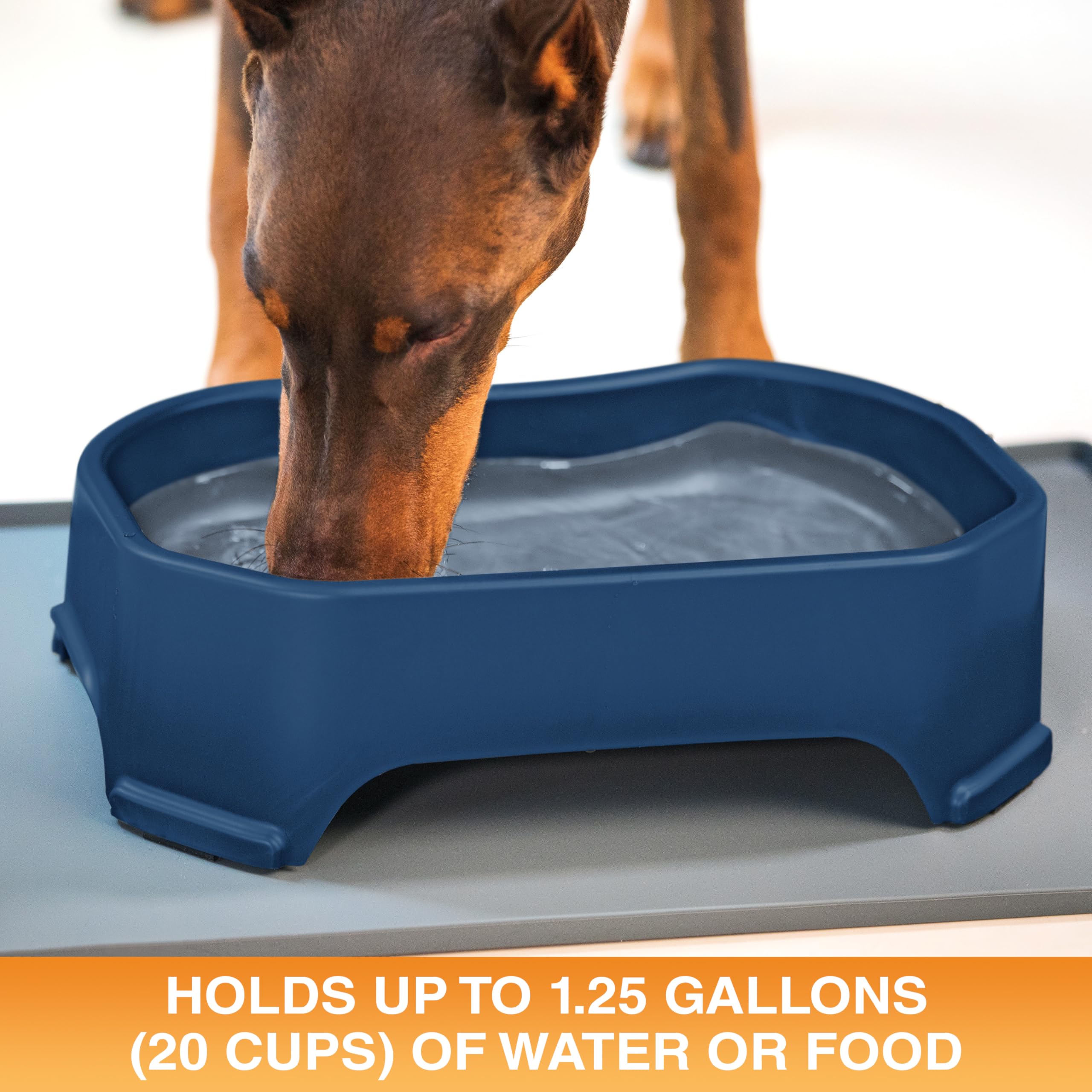 Neater Pet Brands one-point-two-five-gallon capacity bowl supports large pets and multi-pet homes