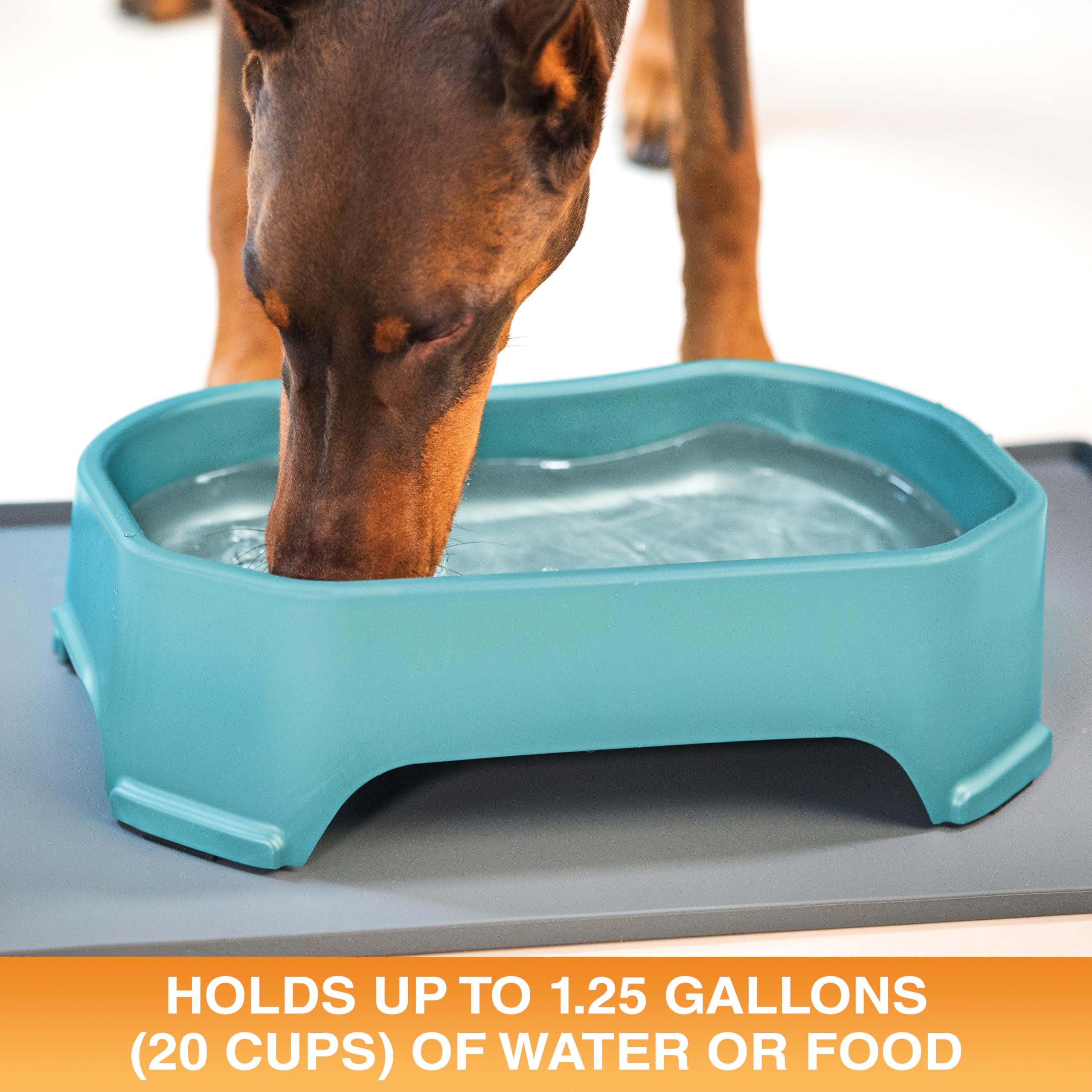 Neater Pet Brands outdoor dog bowl with wide base helps prevent tipping during play.
