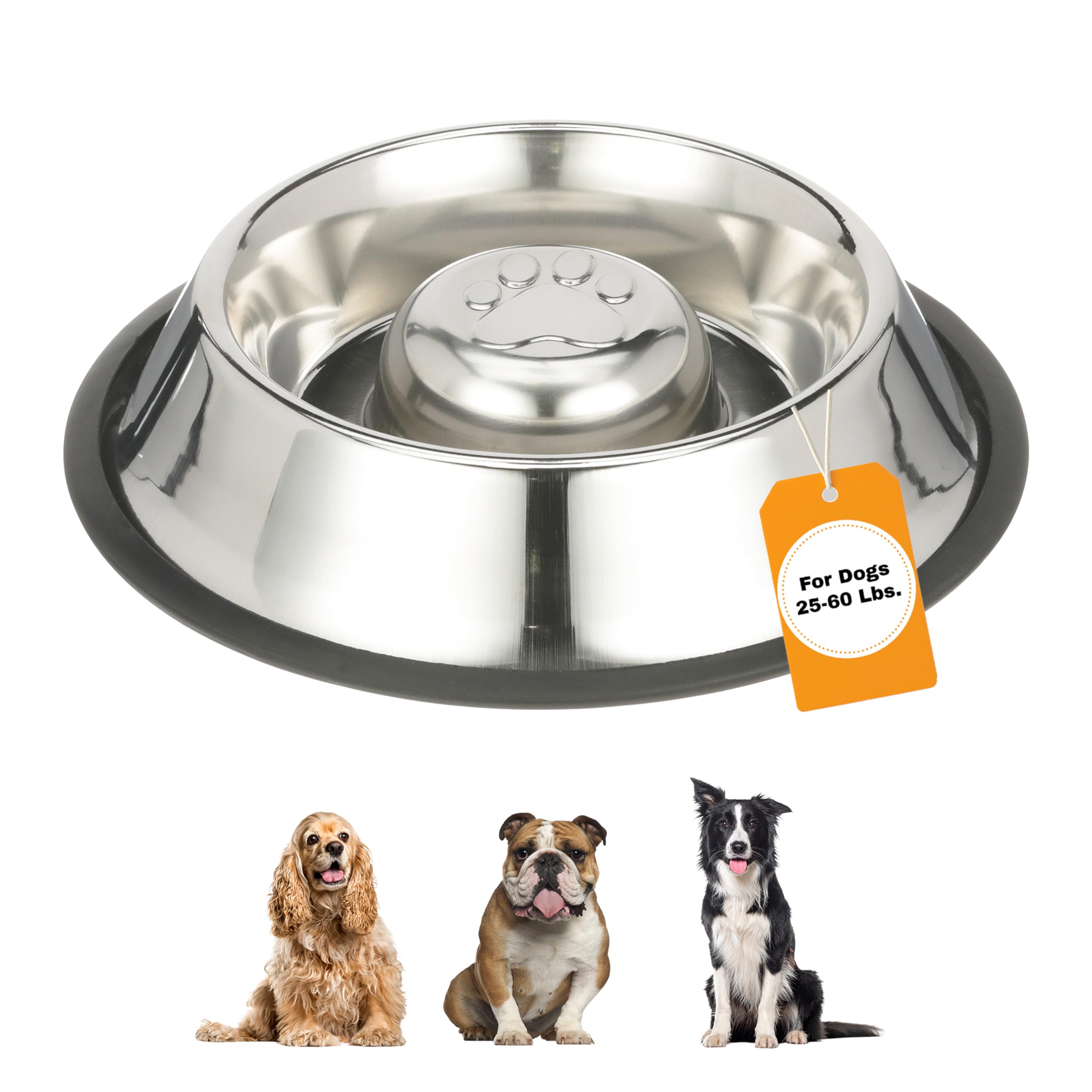 Neater Pet Brands slow feed bowl base diameter 11.25 inches supports steady meals and reduced gulping.