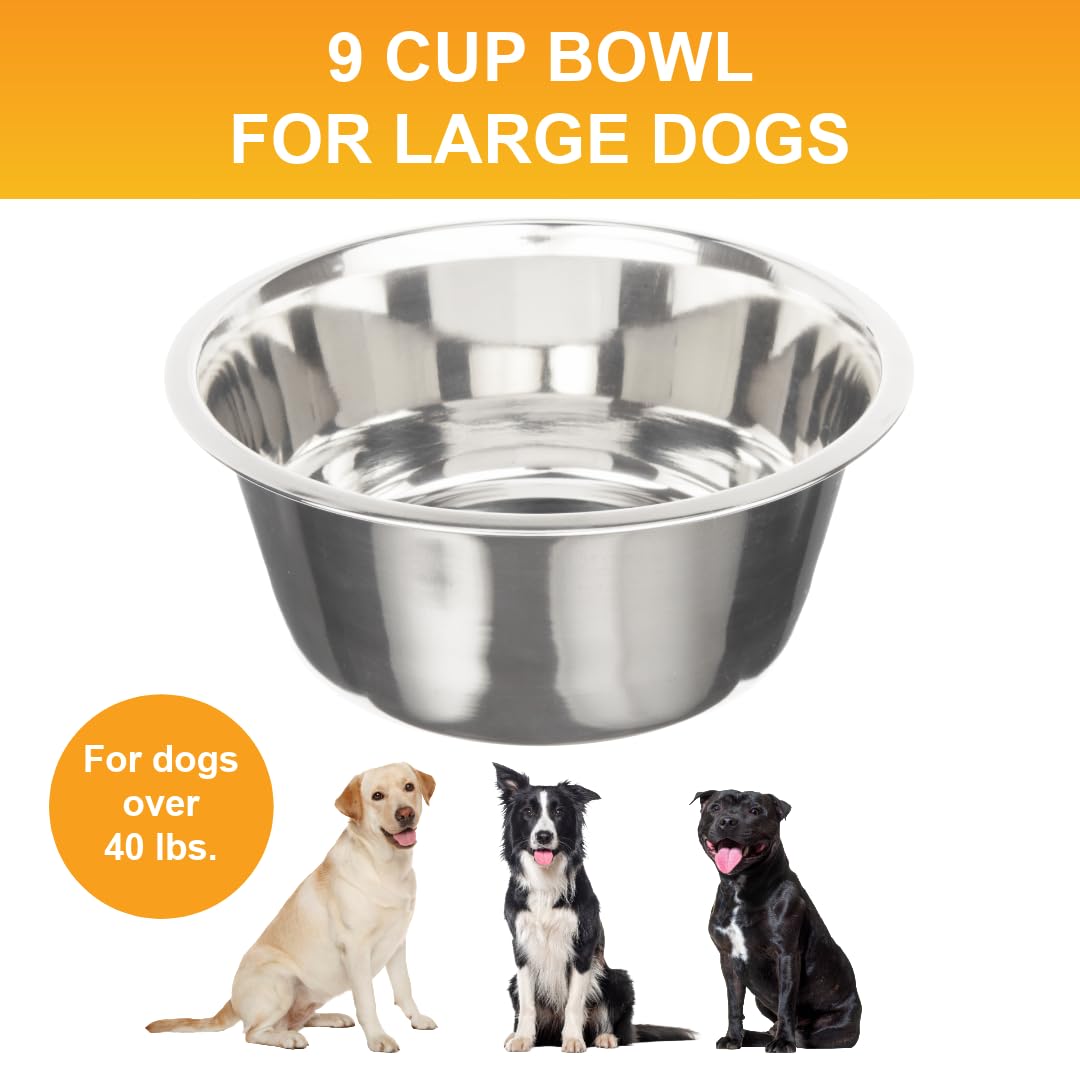 Neater Pet Brands stainless steel bowls close-up show durable, dent-resistant design ideal for daily use.