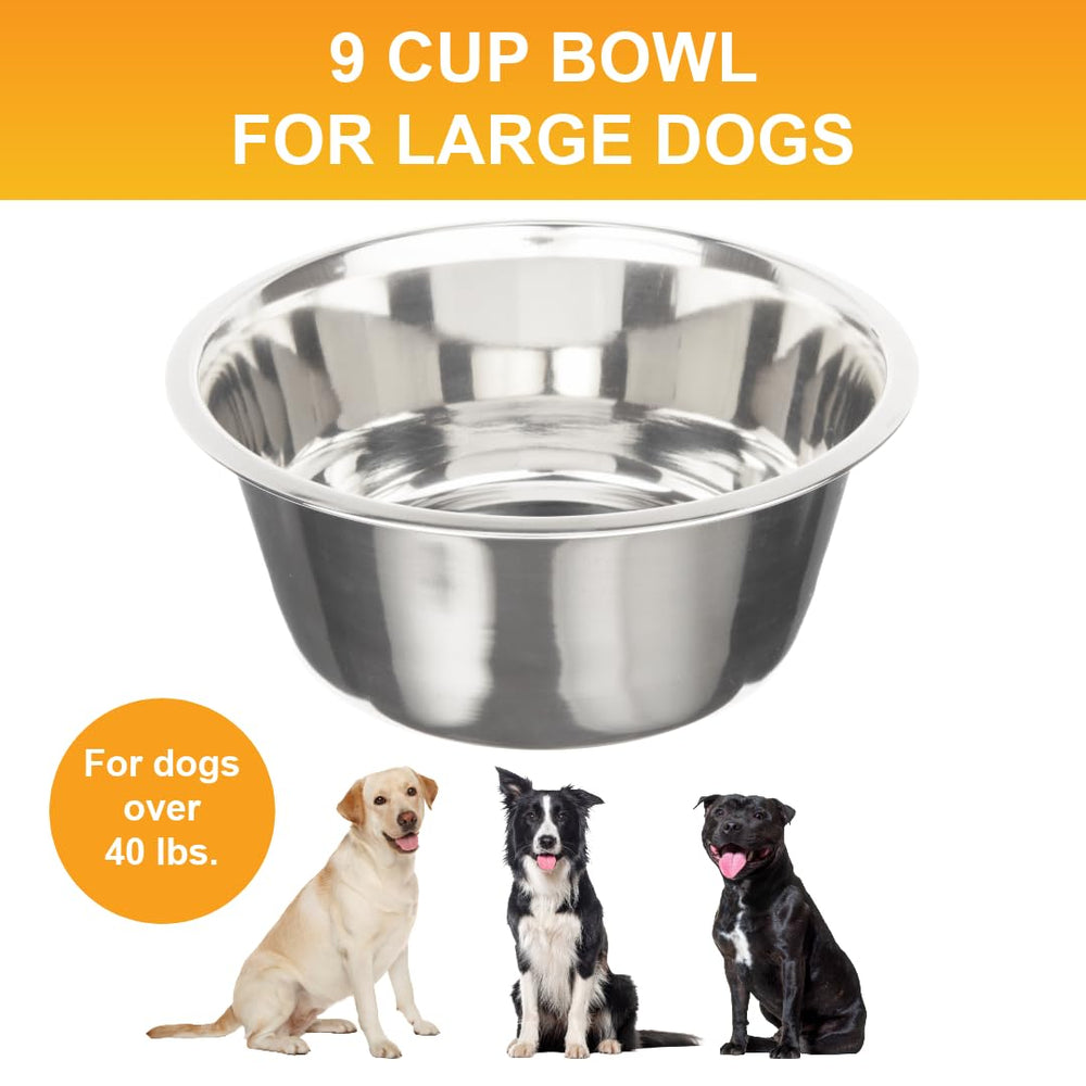 Neater Pet Brands stainless steel replacement bowl close-up, rust-resistant and easy to clean.