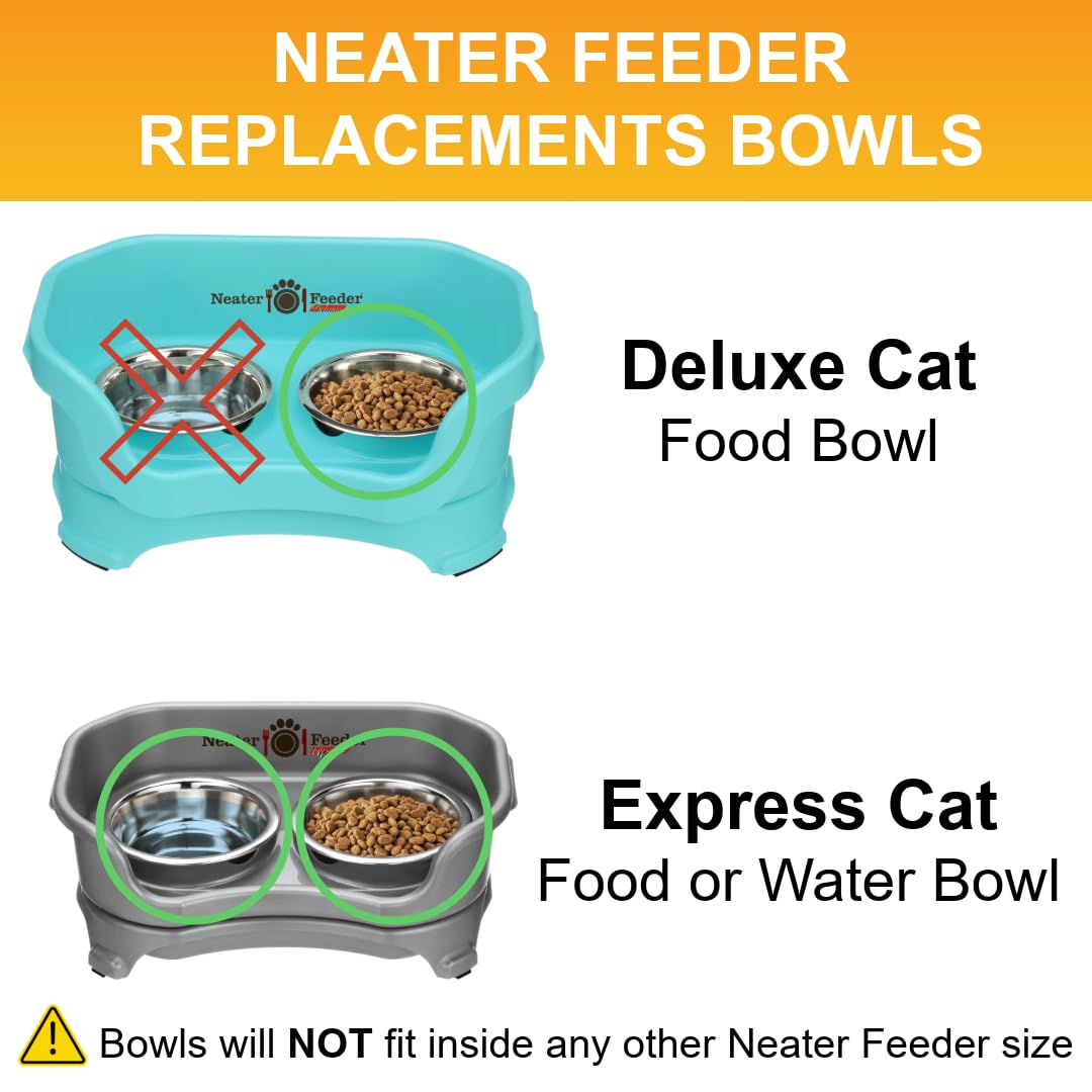 Neater Pet Brands whisker-friendly shallow bowls reduce whisker stress during meals