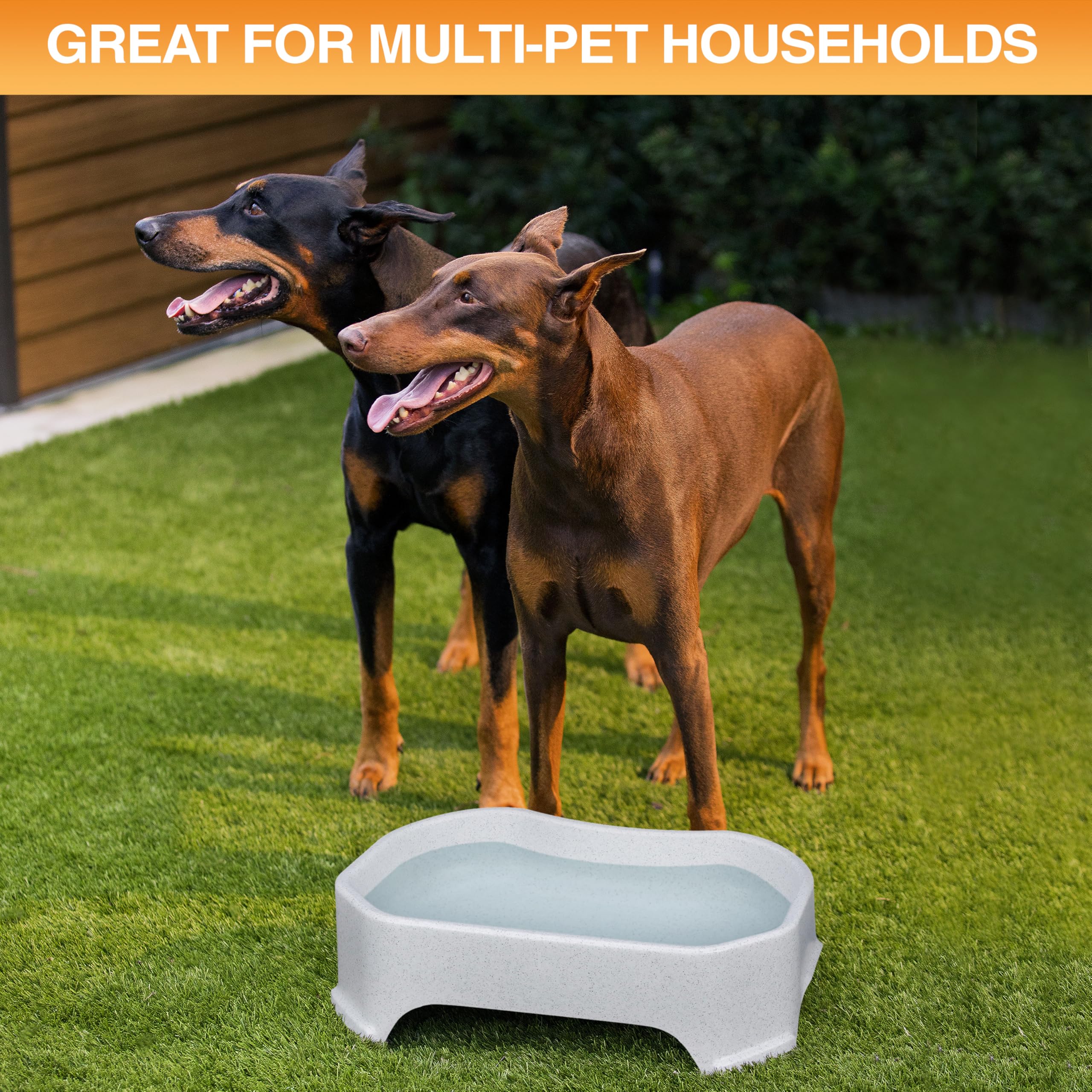 Neater Pet Brands wide, non-tip base keeps the bowl stable.