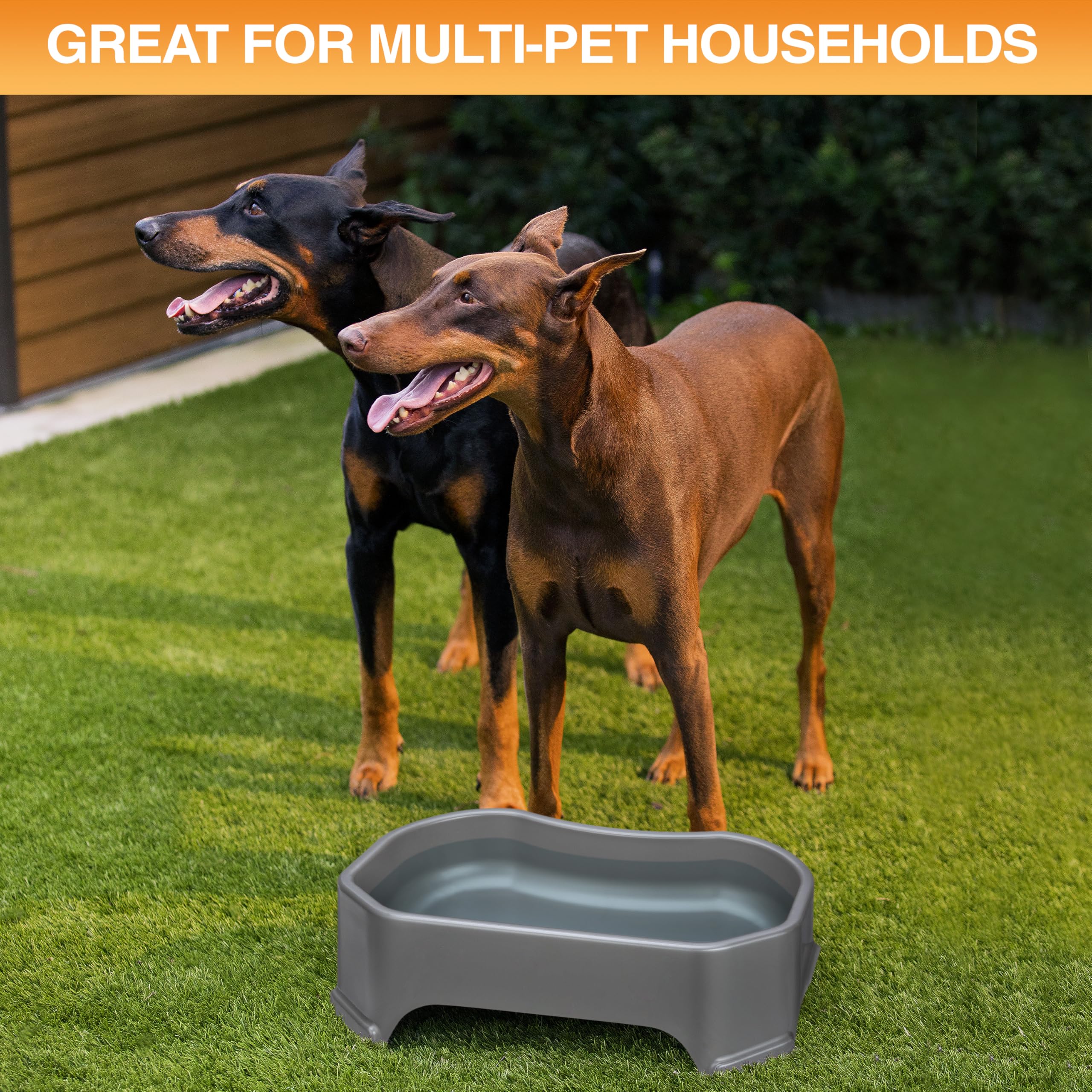Top-rack dishwasher safe Neater Pet Brands XL water bowl.