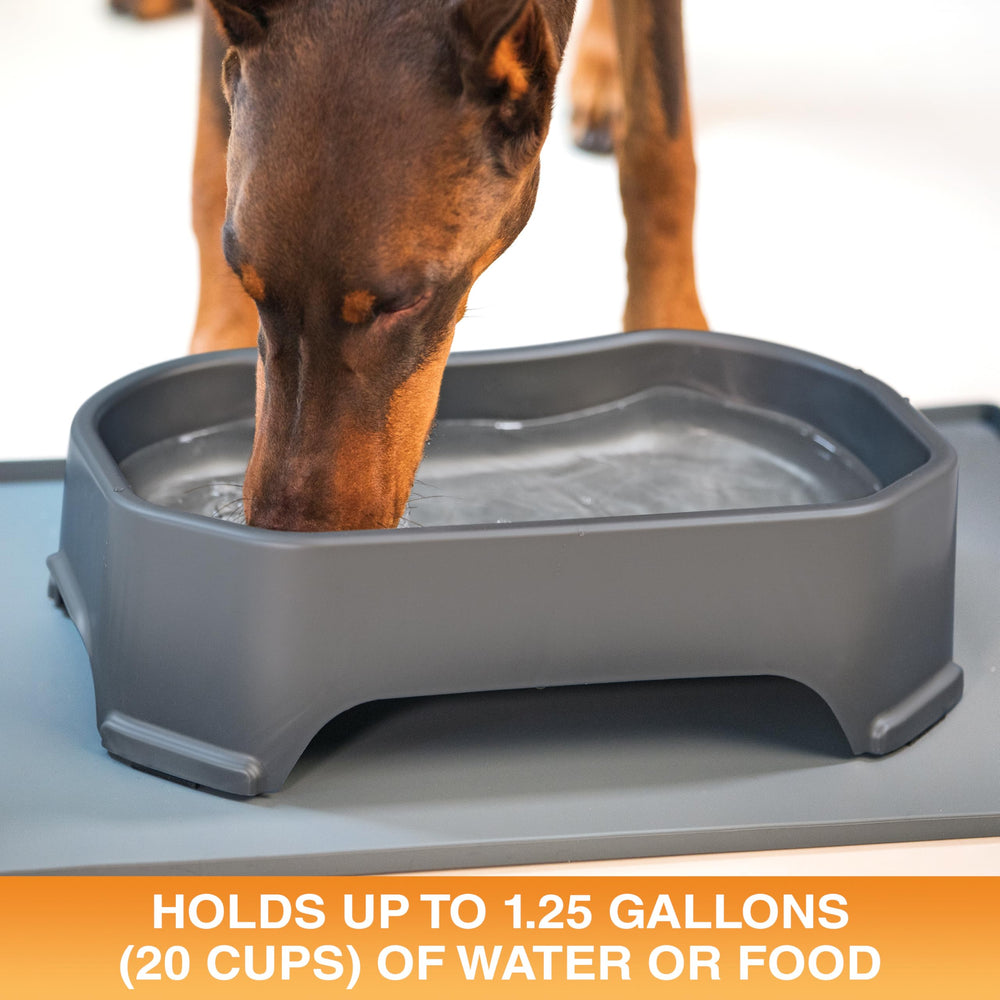 Neater Pet Brands XL water bowl flat back design sits against a wall.