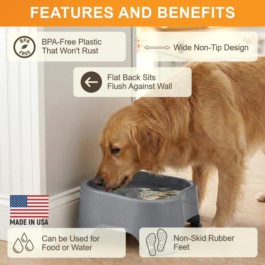 Gunmetal grey Neater Pet Brands XL bowl outdoors.