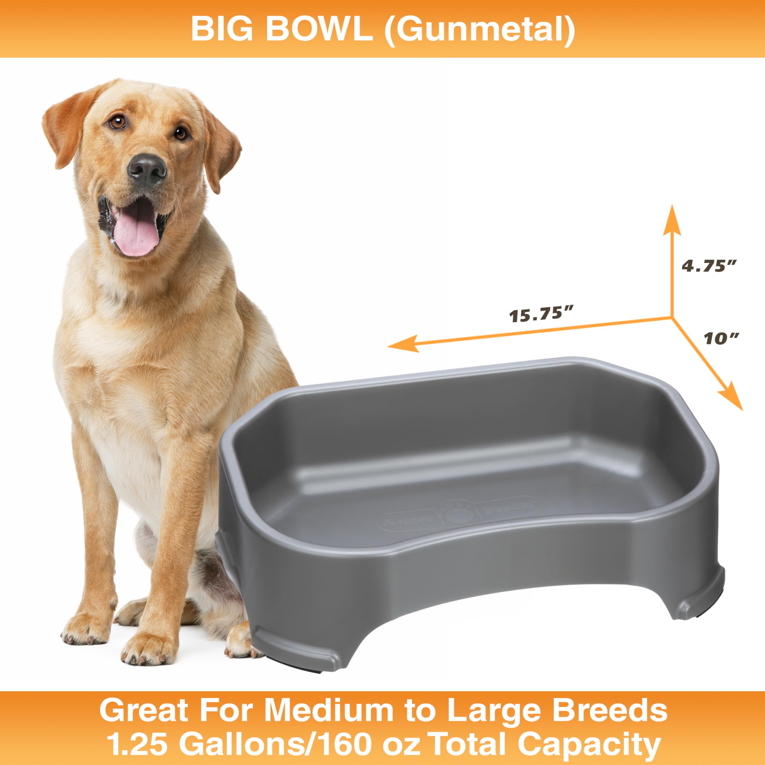Multi-pet friendly Neater Pet Brands XL water bowl for dogs and more.