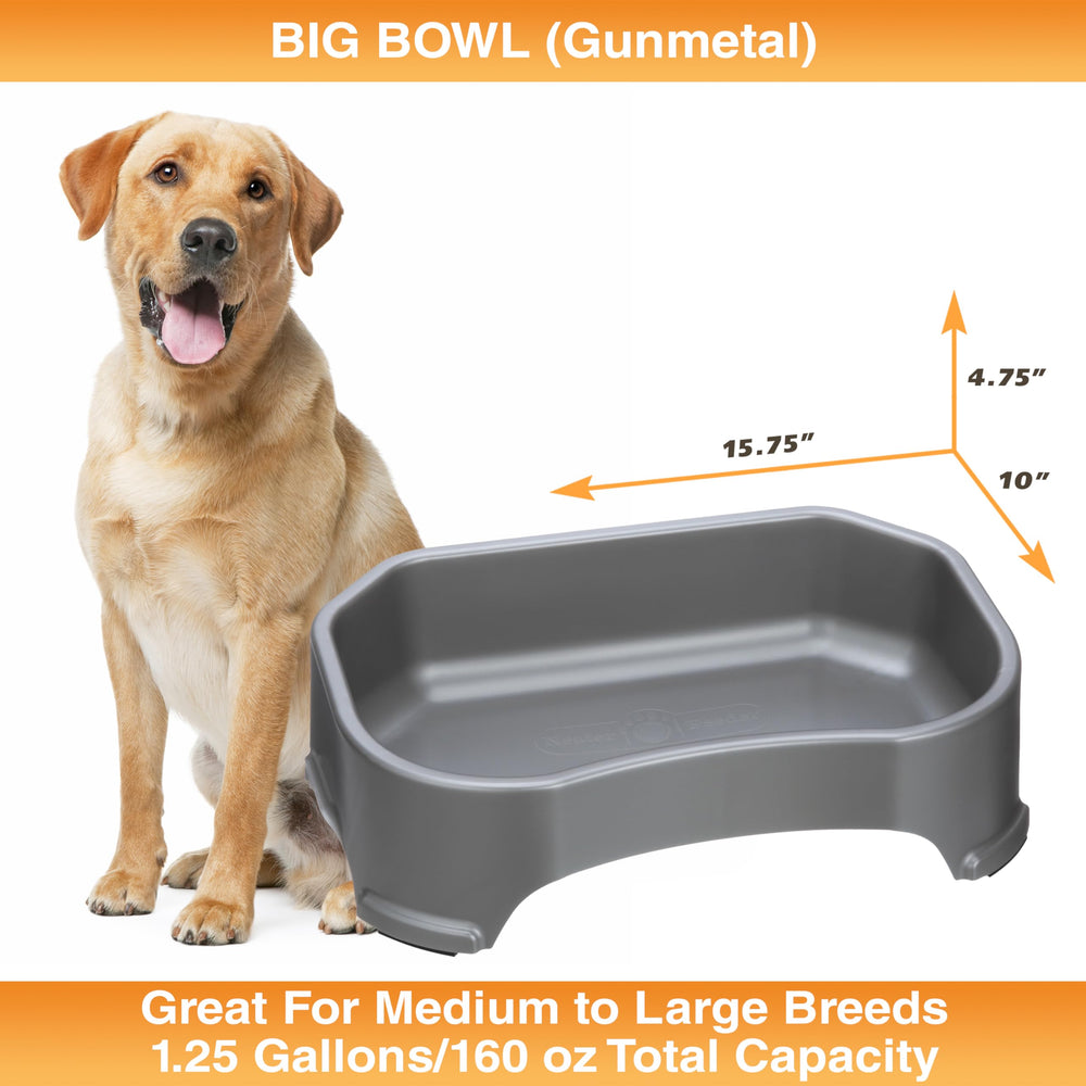 Multi-pet friendly Neater Pet Brands XL water bowl for dogs and more.