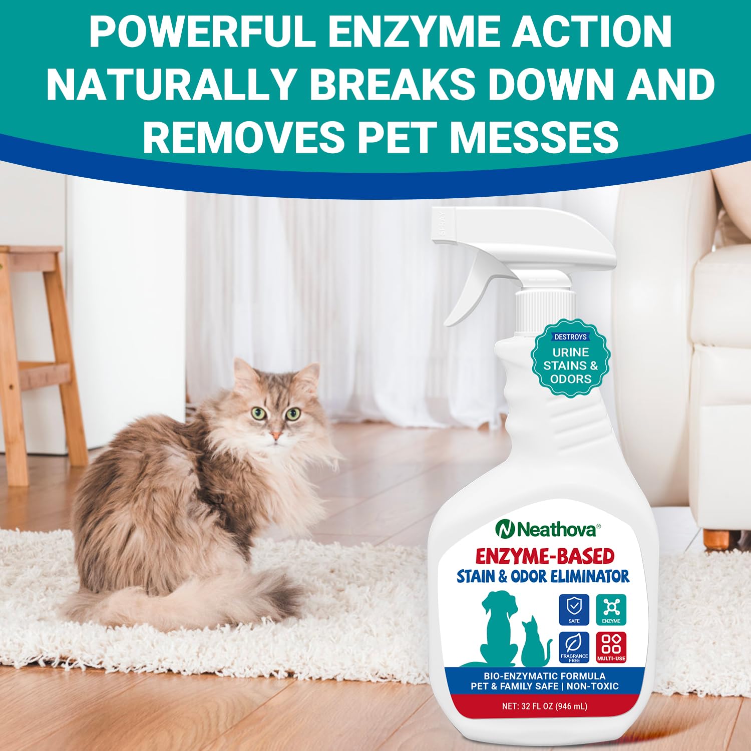 Neathova kennel-cleaner: multi-surface power for kennels, cages, and play areas.