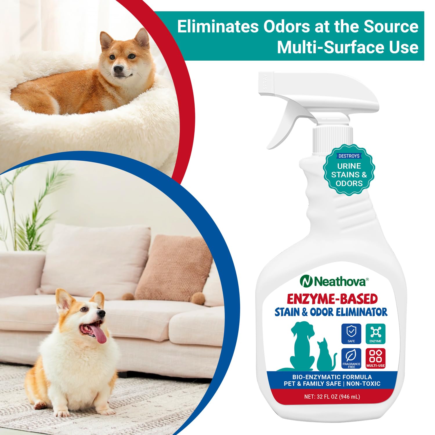 Neathova pet-bed-cleaner: refresh pet spaces with targeted odor control after play.
