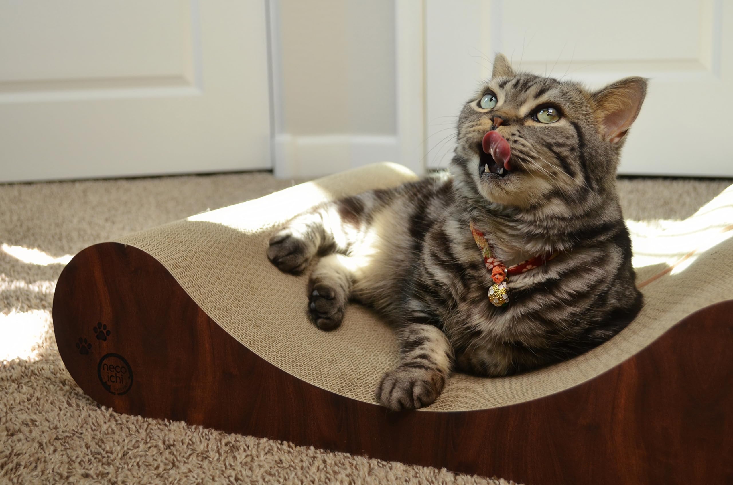 Necoichi Cardboard Cat Scratcher Bed bottom view shows strong grip.
