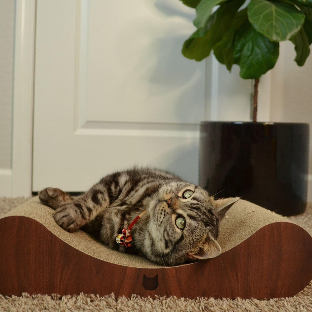Necoichi cardboard cat scratcher bed cat lounging while scratching.