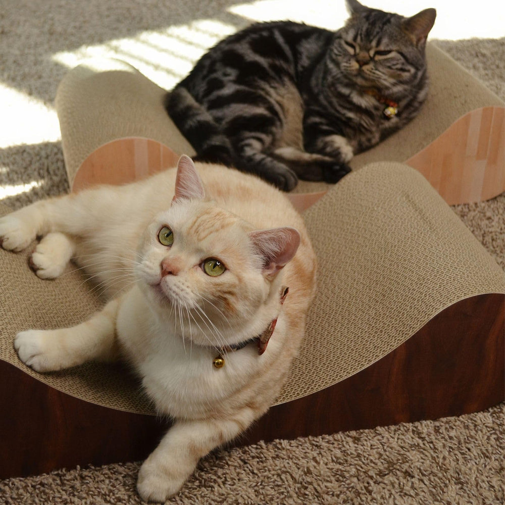 Necoichi Cardboard Cat Scratcher Bed curved design supports relaxed lounging.