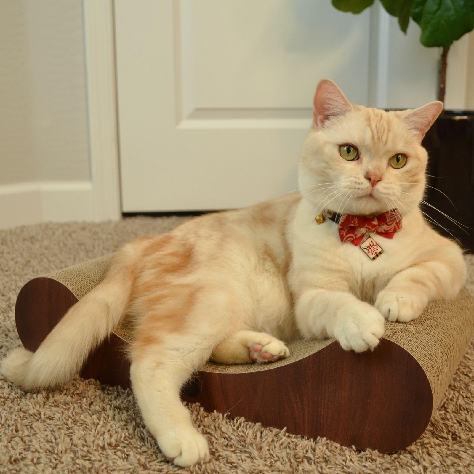 Necoichi cardboard cat scratcher bed dark cherry finish blends with decor.