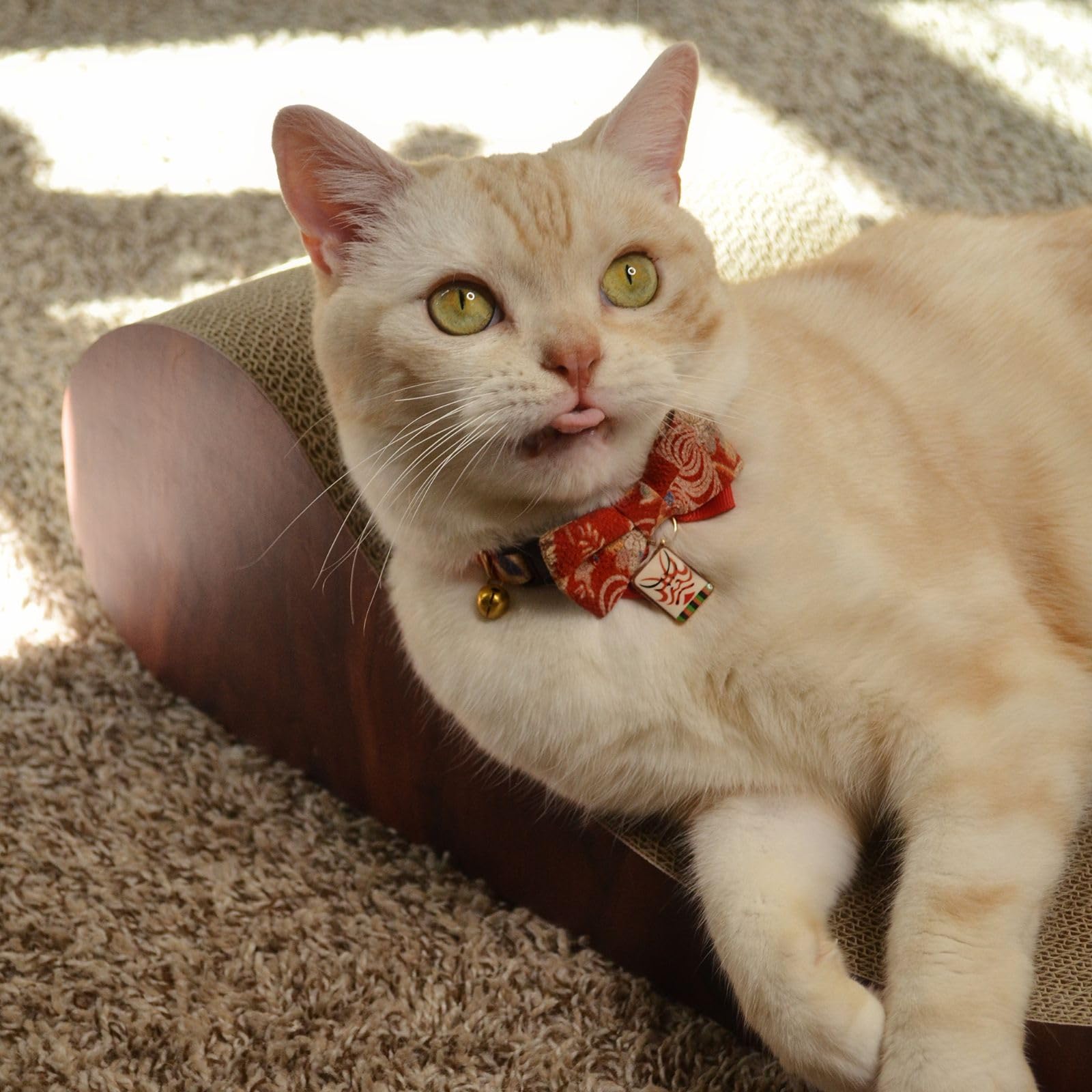 Necoichi Cardboard Cat Scratcher Bed in living room setup for discreet decor.