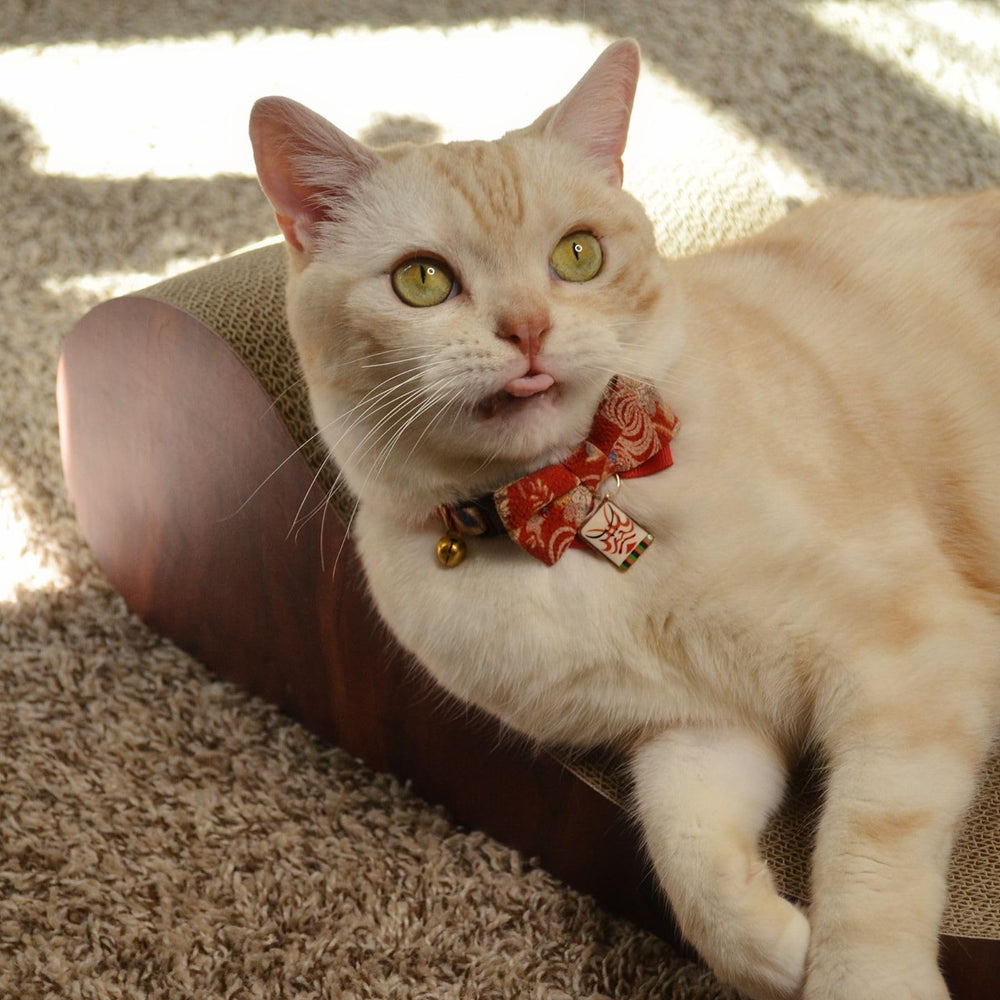 Necoichi Cardboard Cat Scratcher Bed in living room setup for discreet decor.