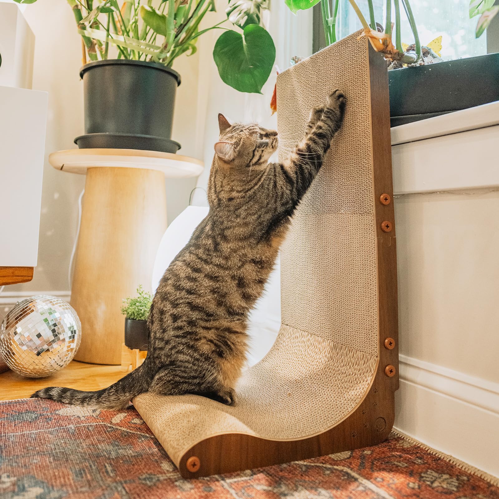 Necoichi wall-curved scratcher in dark cherry helps indoor cats stretch