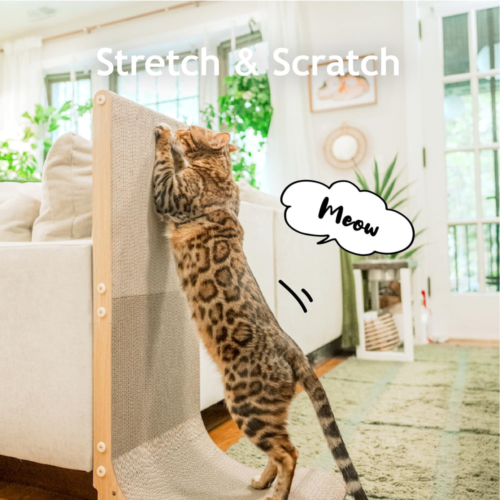 Necoichi reversible-scratch pad extends life and reduces waste