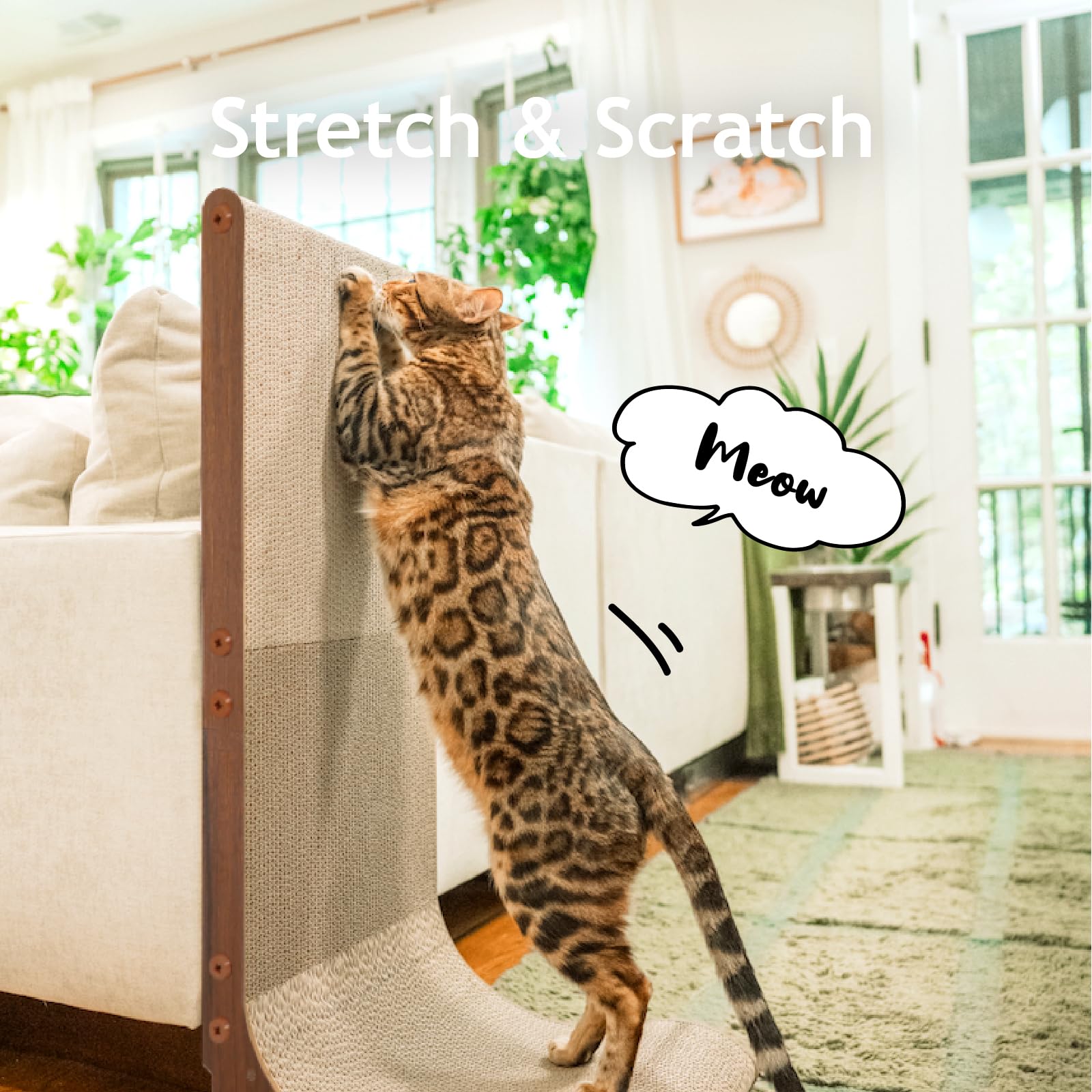 Necoichi curved surface shown with reversible pad for longer life.