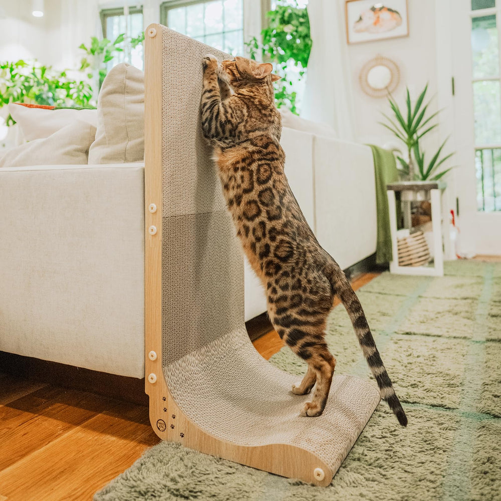Necoichi cardboard scratcher wall in oak supports healthy scratching and furniture protection