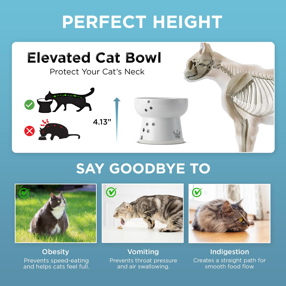 NECOICHI water bowl with spill-proof lip keeps water in place during active drinking.