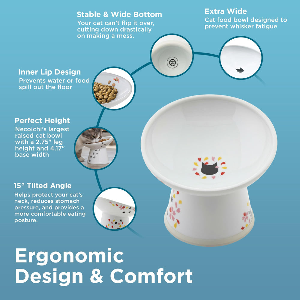 Necoichi porcelain bowl, dishwasher-safe and easy to clean.
