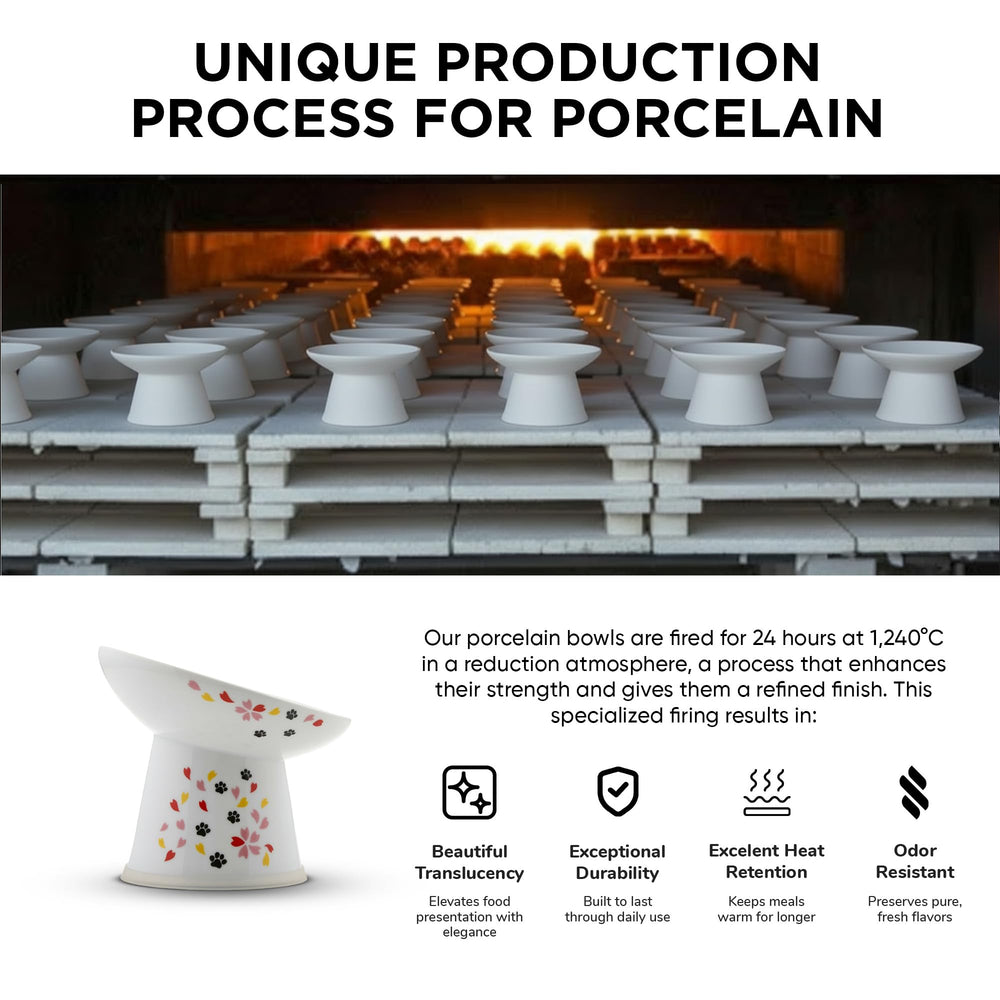 Necoichi holds dry or wet foods for versatile use.