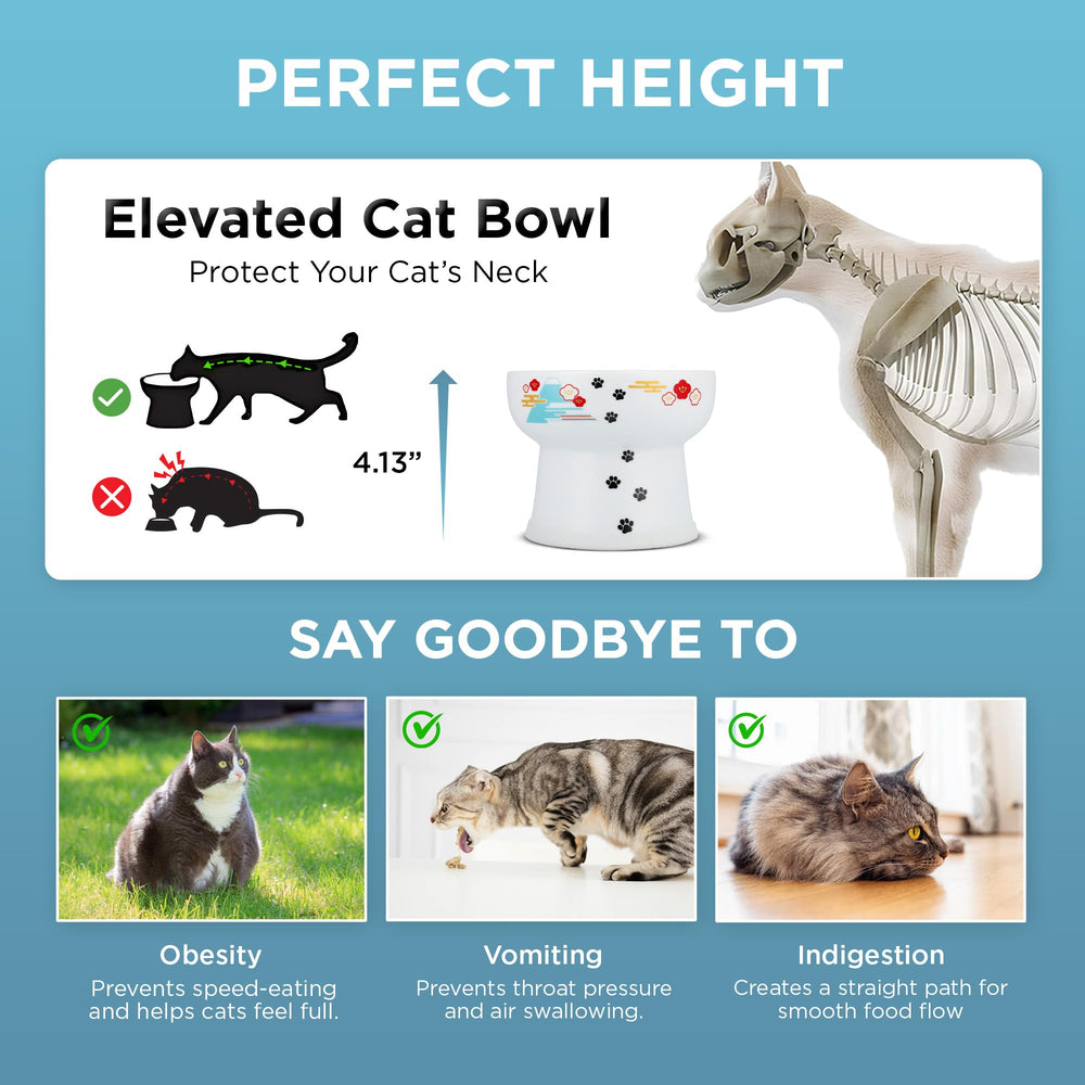 Necoichi elevated bowl features a non-slip ring to prevent spills.