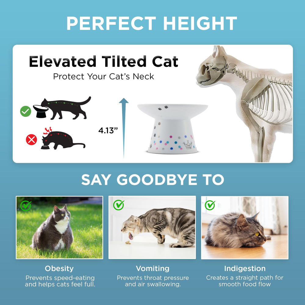 Necoichi elevated ergonomic bowl may support whisker-friendly meals.