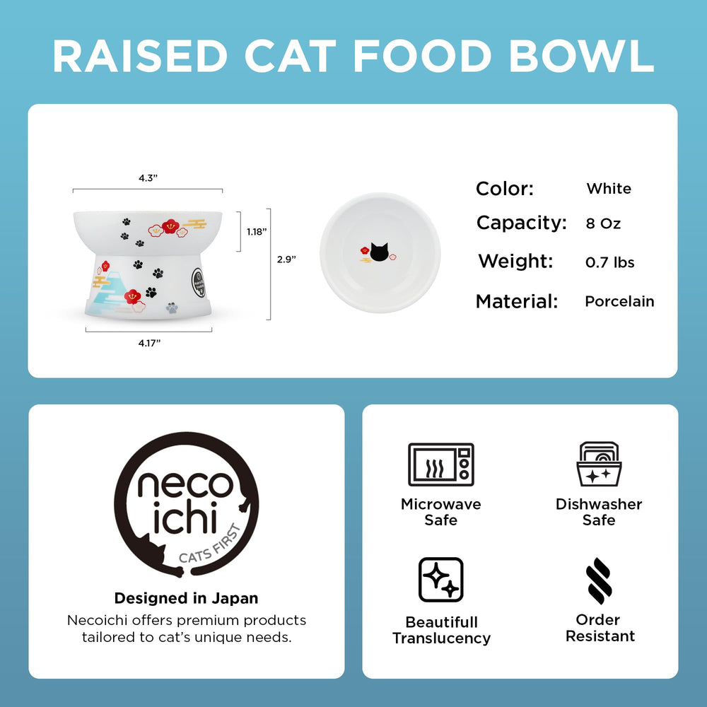 Necoichi ergonomic raised design supports comfortable mealtime.