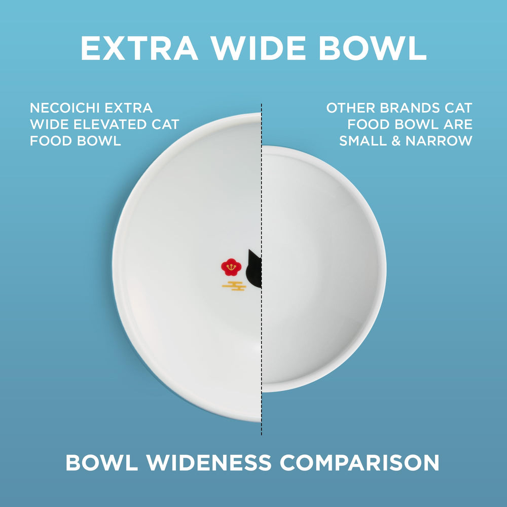 Necoichi Fuji edition elevated bowl, side angle for ergonomic feeding height