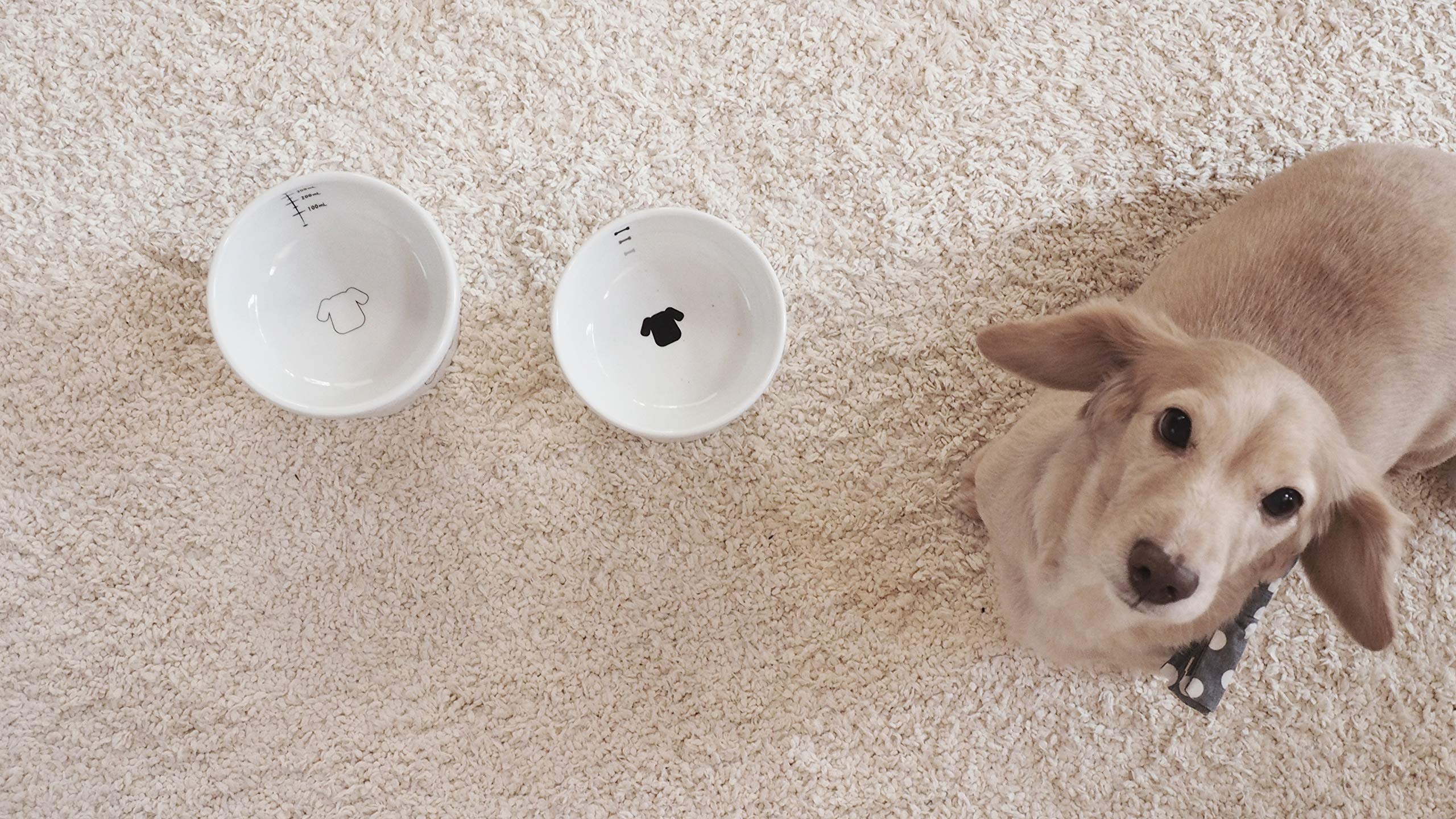 Necoichi elevated bowl blends with home decor while providing mealtime comfort.