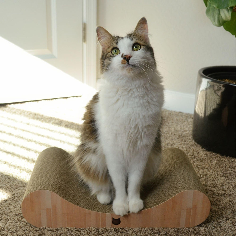 Necoichi mess-free cat lounger helps keep floors tidy after scratching