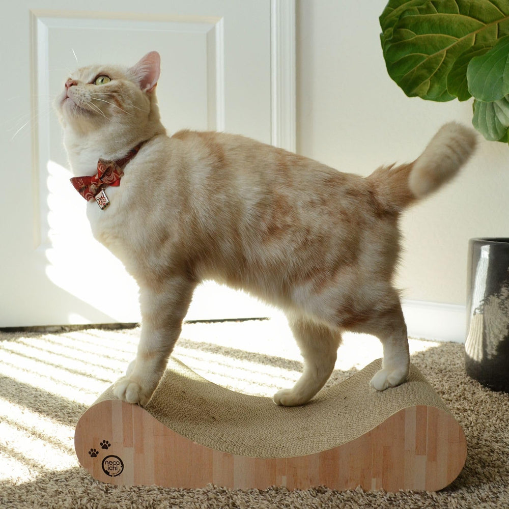 Necoichi modern design cat scratcher blends with home decor