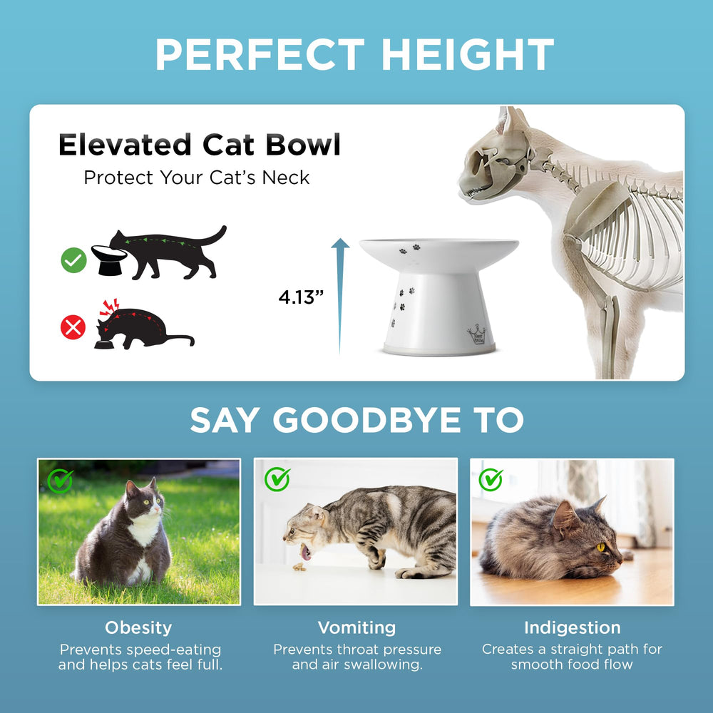 Necoichi non-slip base keeps the bowl in place on floors.