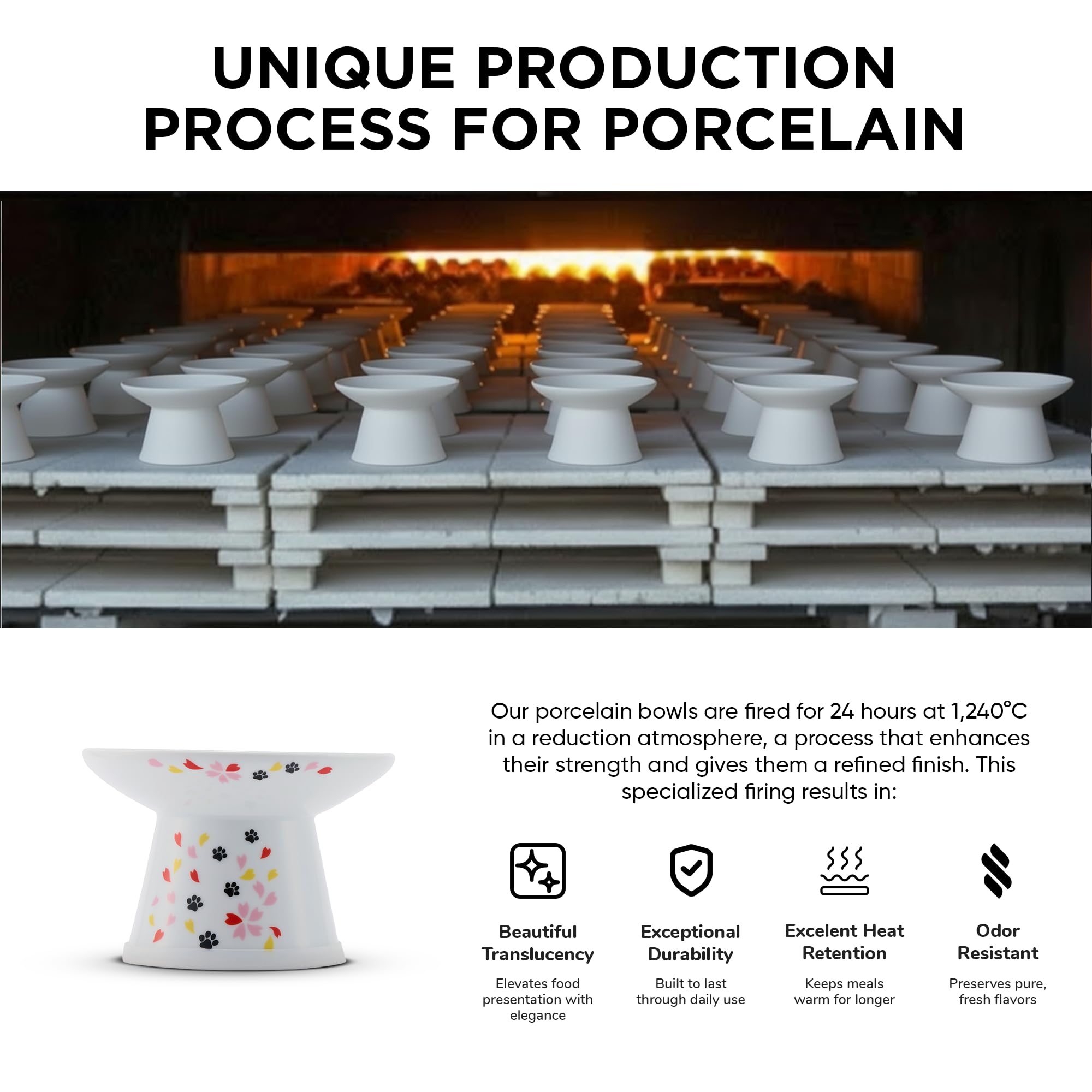 Necoichi raised bowl ergonomic design supports neck comfort during meals