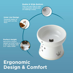 Necoichi raised bowl designed for flat-faced cats enhances comfortable dining.