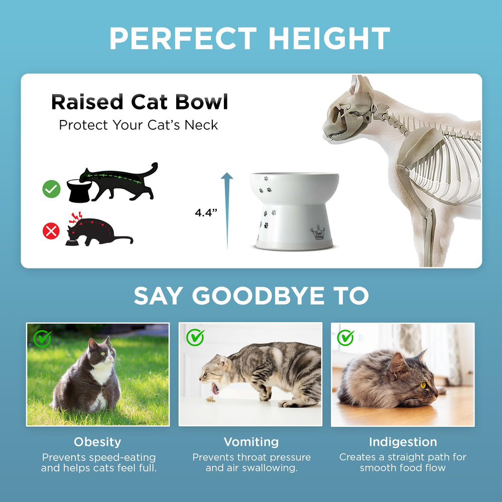 Necoichi elevated bowl supports comfortable neck posture during meals.
