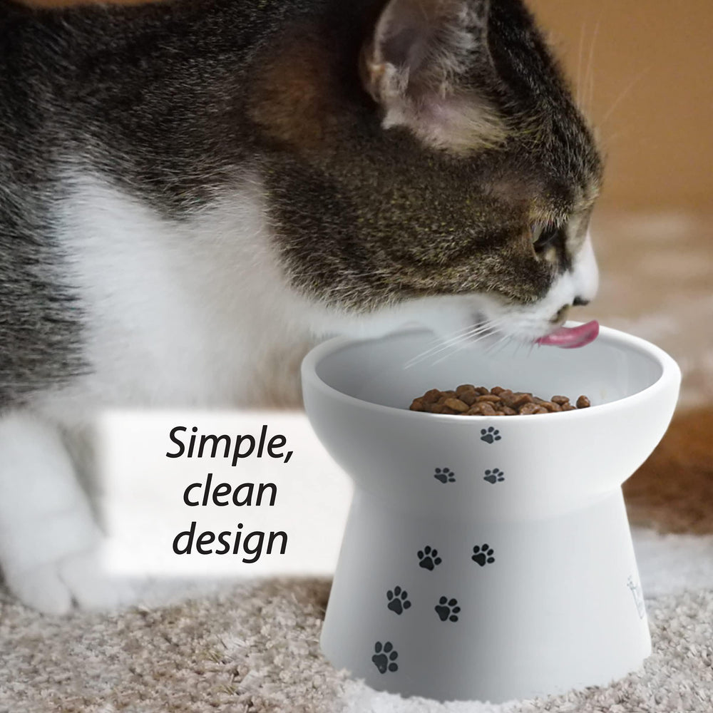 Necoichi raised cat bowl with non-slip base stays steady for mess-free feeding.
