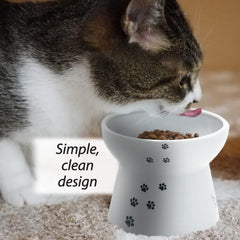 Necoichi raised cat bowl with non-slip base stays steady for mess-free feeding.