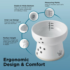 NECOICHI raised bowl includes a non-slip ring to prevent spills.