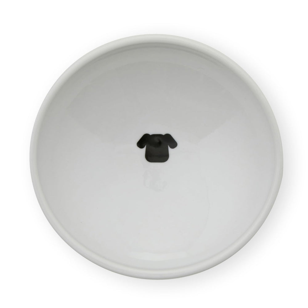 Necoichi tilted lip bowl helps cats eat comfortably with less whisker contact.