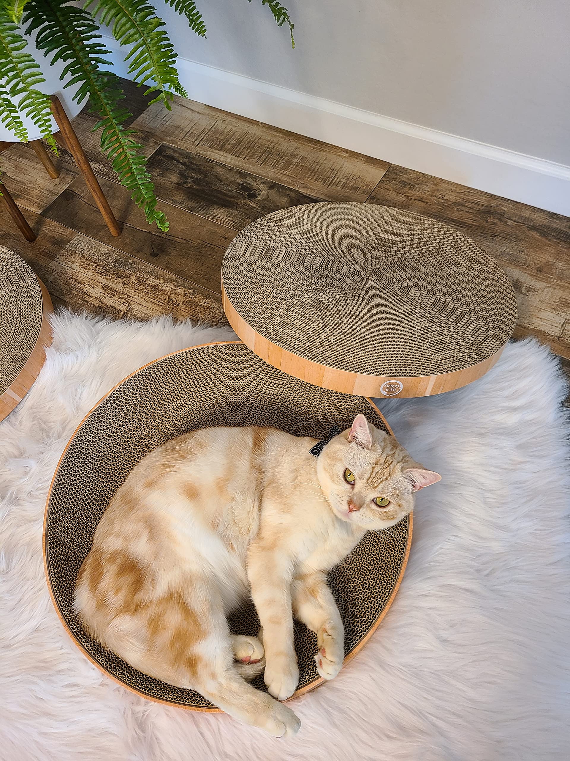 Necoichi-reversible-scratching-pad highlights two textures for extended play.