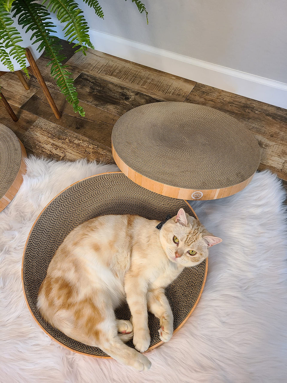 Necoichi-reversible-scratching-pad highlights two textures for extended play.