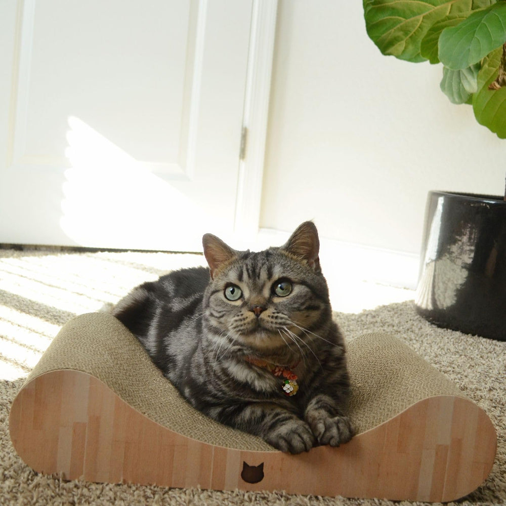 Necoichi reversible usage scratcher for versatile indoor cat relaxation