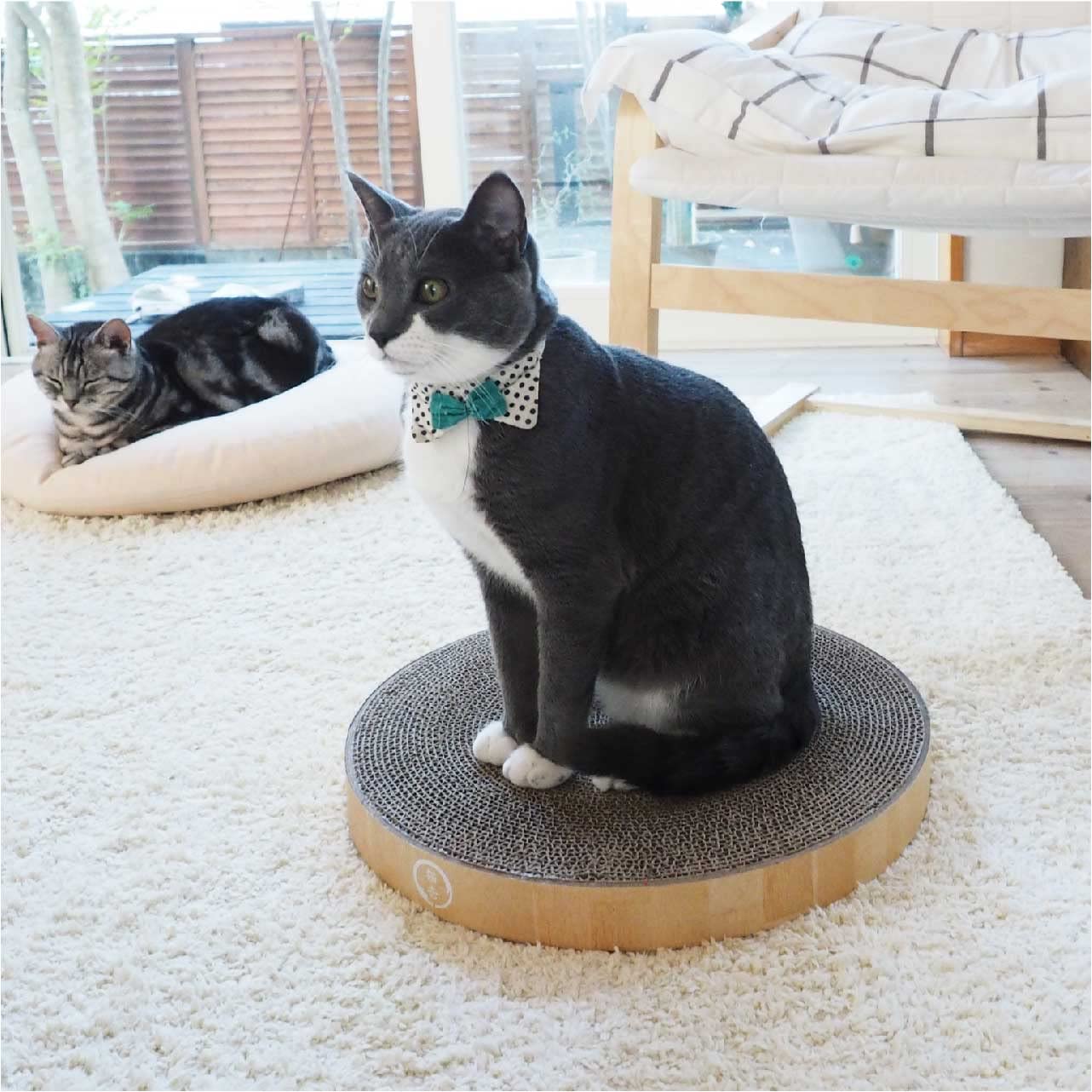 Necoichi-scratcher-bowl-oak-finish features warm, stylish oak for living spaces.