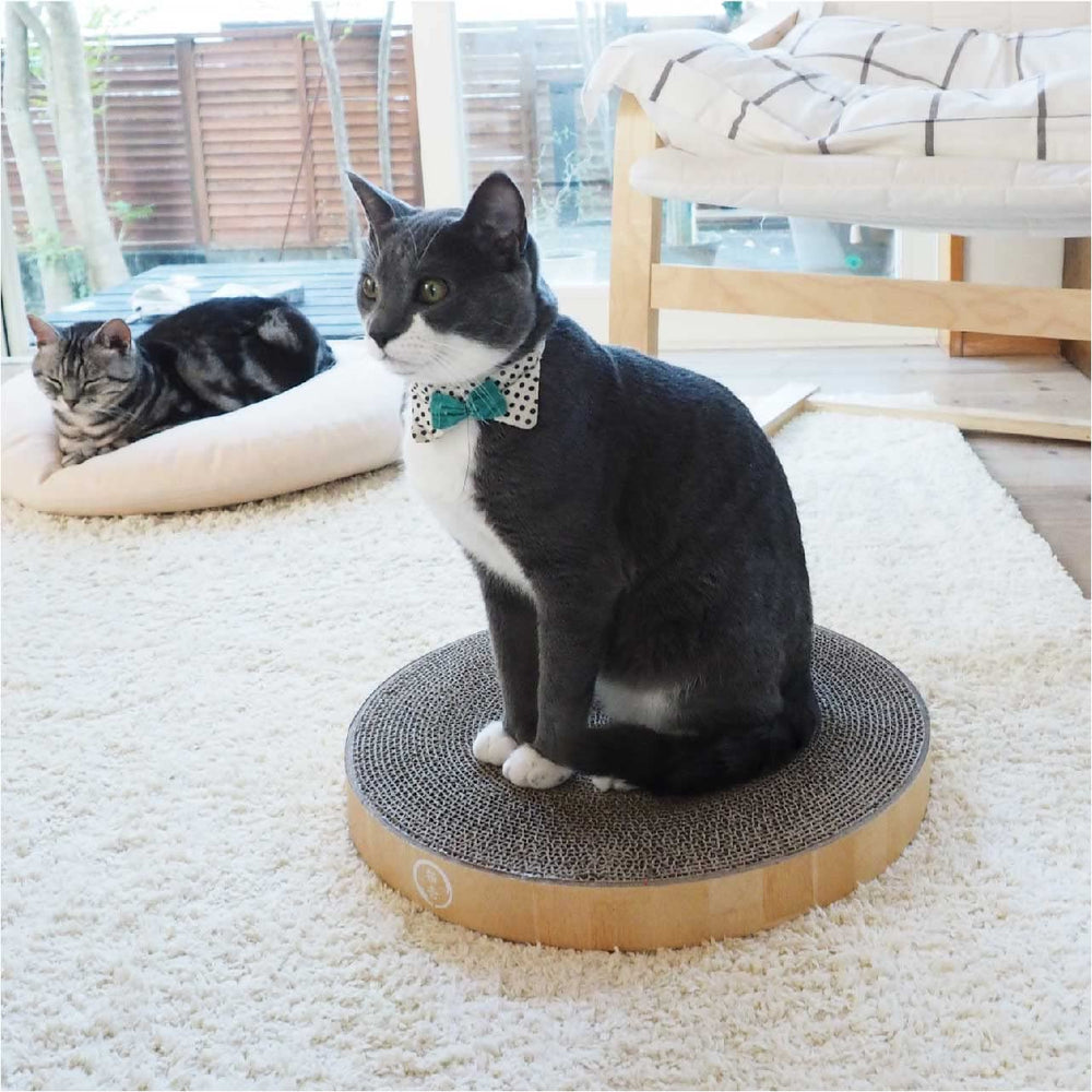 Necoichi-scratcher-bowl-oak-finish features warm, stylish oak for living spaces.