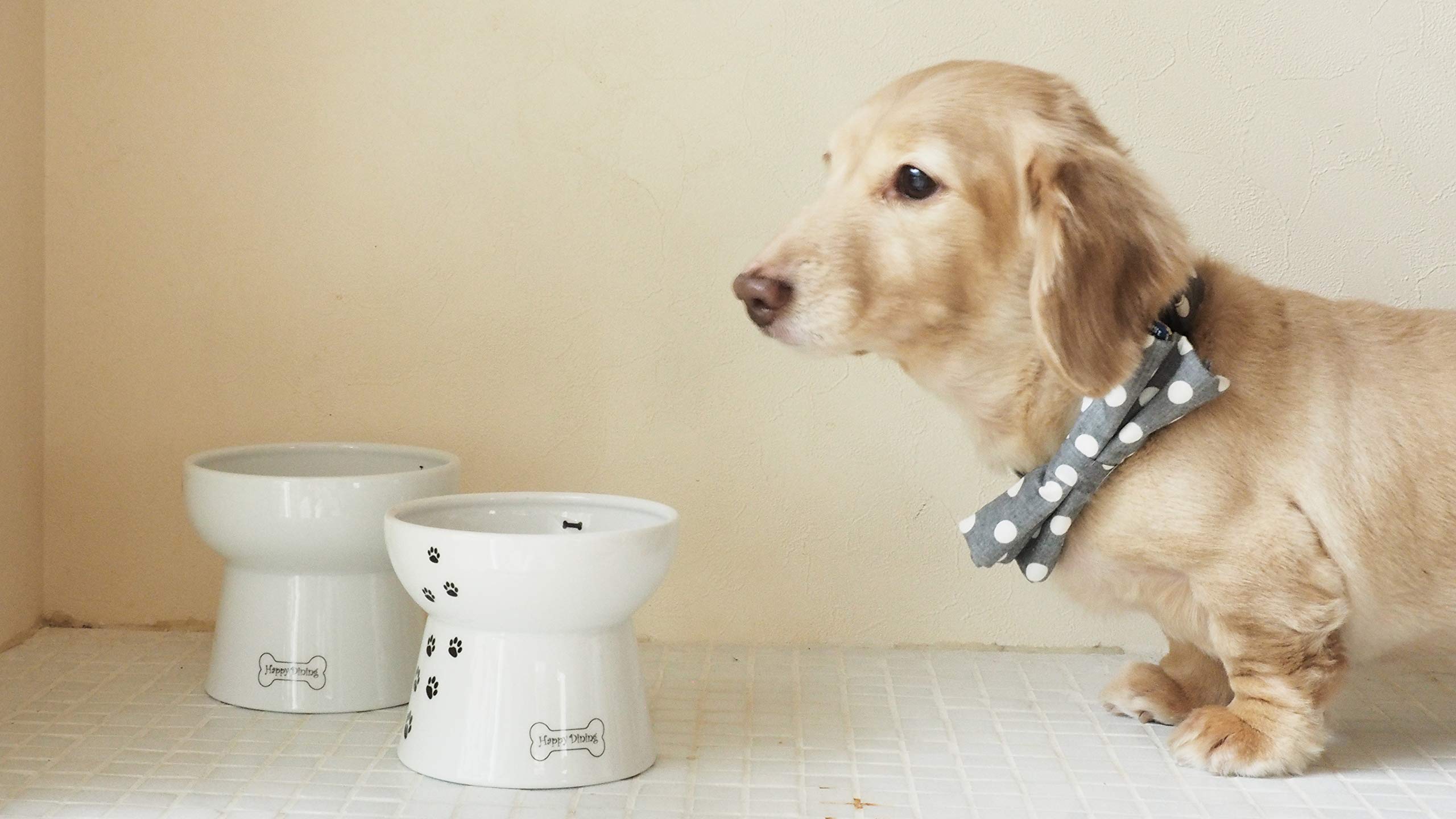 Necoichi small dogs compatible height makes reach easier for tiny pets.