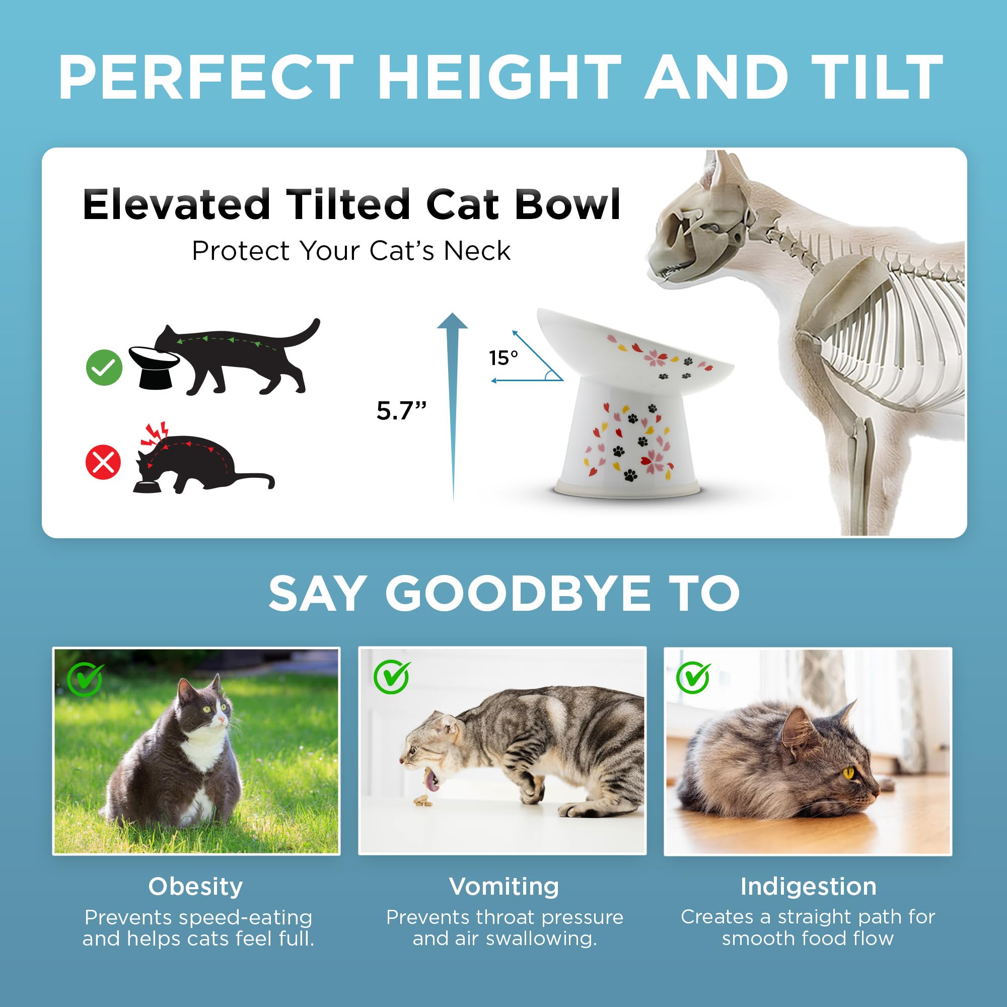 Necoichi tilted bowl supports comfortable feeding during whisker-sensitive meals.