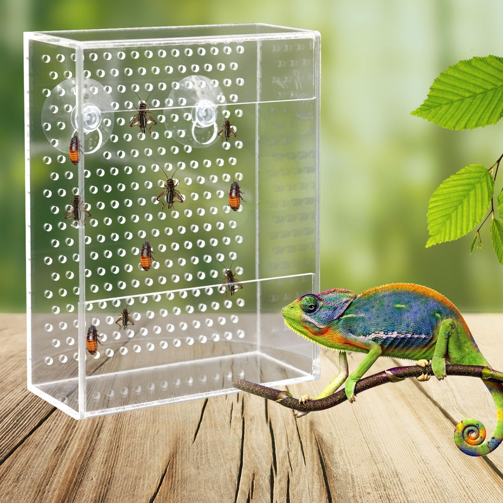 Neeenn Bearded Dragon Feeder Box insect holes aid climbing and access.